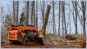 land clearing DFW
